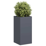 vidaXL Sadilnik antracit 40x40x80 cm Hladno valjano jeklo