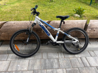 Otroško kolo Bruno 20 colski