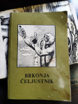 BRKONJA ČELJUSTNIK