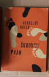 Čudoviti prah, Vekoslav Kaleb, 1956, vojni roman