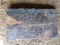 FRAN ERJAVEC - DOMAČE IN TUJE ŽIVALI V PODOBAH