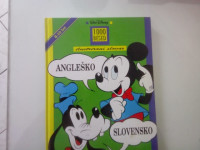 KNJIGA ANGLEŠKO SLOVENKO SLIKOVNI SLOVAR