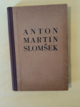 Služabnik božji Anton Martin Slomšek (Fran Kovačič)