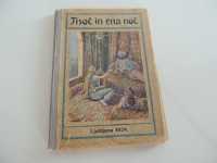 Tisoč in ena noč, Šopek pravljic iz Jutrovega Andrej Rape 1924