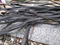 Električni kabel nadometni,  3 žilni,  25 m, debelejši