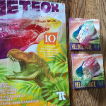 Meteorni kamen