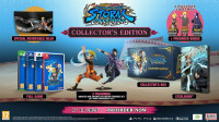 Naruto X Boruto Ultimate Ninja Storm Connections Collectors Edition (P