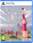 Summertime Madness - Limited Run (PS5) - novo