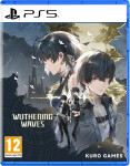 Wuthering Waves Deluxe Collection (PS5) - novo
