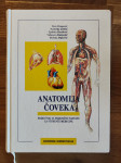Anatomija čoveka