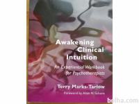 Awakening Clinical Intuition s CDjem