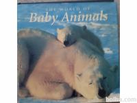 Baby animals, knjiga o živalih