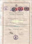 DOKUMENT - ITALIJANSKA OKUPACIJA - LUBIANA - (msmk)