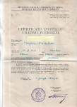 DOKUMENT - ITALJANSKA OKUPACIJA, LUBIANA - (msmk)