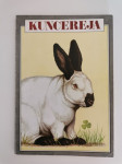 KUNCEREJA