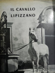 IL CAVALLO LIPIZZANO