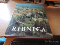 RIBNICA SKOZI STOLETJA VEČ AVTORJE OBČINA RIBNICA 1982