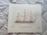 RISBA NA RISALNI LIST 32 X 26 THE CORVETTE FRANCE  CENA 19,5 EUR