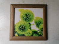 SLIKA na lesu v lesenem okvirju brez stekla 20 x 20 cm