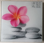 SLIKA na steklu brez okvirja 20 x 20 cm