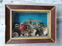 SLIKA v debelem okvirju s steklom 19 x 14 cm