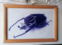 SLIKA v lepem lesenem okvirju s steklom 33 x 23,5 cm samo stoječa