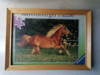 SLIKA v lepem okvirju s steklom 34,5 x 25 cm