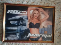 SLIKA v lepem okvirju s steklom 43 x 31,5 cm