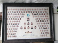 SLIKA v lesenem masivnem okvirju s steklom 50 x 39 cm