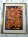SLIKA  V OKVIRJU 40 X 53 CENA 28 EUR  TEL  070 604 547