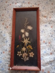 SLIKA v okvirju s steklom 13 x 29 cm