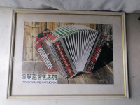 SLIKA v okvirju s steklom 37 x 28 cm