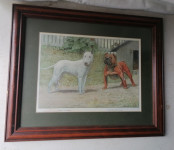 SLIKA v okvirju s steklom 40 x 33 cm