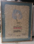 SLIKA v okvirju s steklom 44 x 56 cm