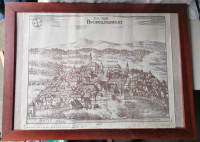 SLIKA v širokem okvirju brez stekla 65,5 x 48 cm