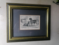 SLIKA v širokem okvirju s steklom 33 x 27,5 cm