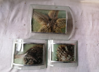 TRI OVALNE SLIKE - steklo