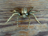 Pajek, medenina