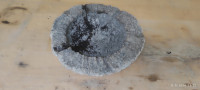 Pepelnik izklesan iz kamna