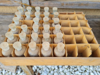 stara flaška 30 komadov iz obdobja Avstro Ogrske