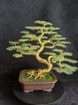 bonsai iz žice