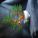 bonsai žično drevo