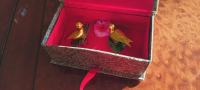 Dve kitajski pozlačeni ptički v škatlici iz Kitajske