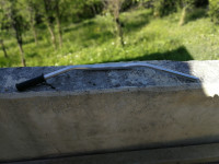 KRMILO KTM ADVENTURE