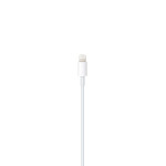 Originalni polnilni kabel Apple USB-C na Lightning (1m) (MX0K2ZM/A) Wh
