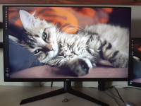 Monitor LG 32 GK650F