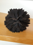 Nov črn cvet za lase