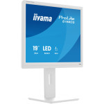 IIYAMA 48,0 cm (19") B1980S-W1 5:4 HDMI+DP bel