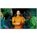 Zaslon SAMSUNG QM50C UHD 125,7 cm (49,5 palca)