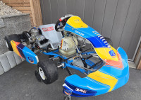 Druge znamke Gokart Alonso Kart/Kart republic 125 cm3